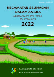 Kecamatan Seunagan Dalam Angka 2022