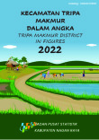 Kecamatan Tripa Makmur Dalam Angka 2022